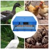 MuChaIOAK Incubators 64 Eggs, Fully Automatic Egg Turning Humidity Chicken