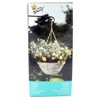 Cultivation Set - Hanging Basket / Complete Set with Basket,