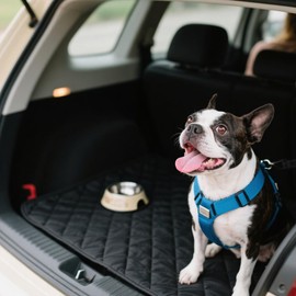 O SHI CAR Car Seat Cover for Dogs SUV Cargo Liner, Waterproof Pet Cargo Cover Dog Seat Mat for Sedans Vans with Bumper Flap Protector, Non-Slip, Large Size Universal Fit, Black