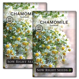 Sow Right Seeds - German Chamomile Seeds for Planting - Non-GMO Heirloom Packet with Instructions to Grow Herbal Tea - Medicinal & Aromatic Flower, Home Remedies - Small Daisy-Like Blooms (2)