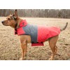 TOUCHDOG 'Lightening-Shield' Waterproof 2-in-1 with Removable Polar Fleece Lining Pet