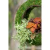 SuperMoss (56904) Sunrise Bird Feeder Hanging Outdoor Décor Handwoven Wicker