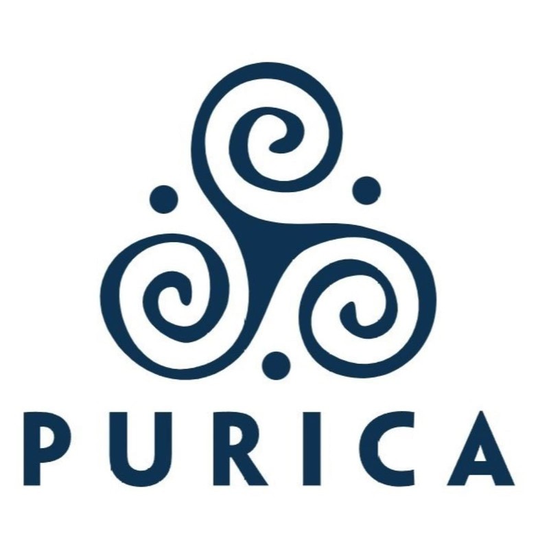 PURICA PURICA MSM, 300 Capsules - Enhanced Joint Support, Non-GMO
