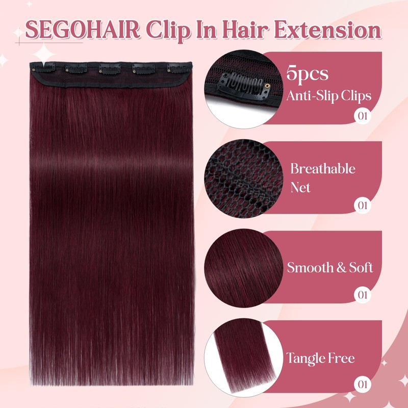 SEGOHAIR Clip In Hair Extensions for women One Piece 5