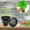 100 PCS Heavy Duty Net Pots for Hydroponics and Aquaponics