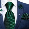 DiBanGu Mens Emerald Green Plaid Tie and Lapel Pin for