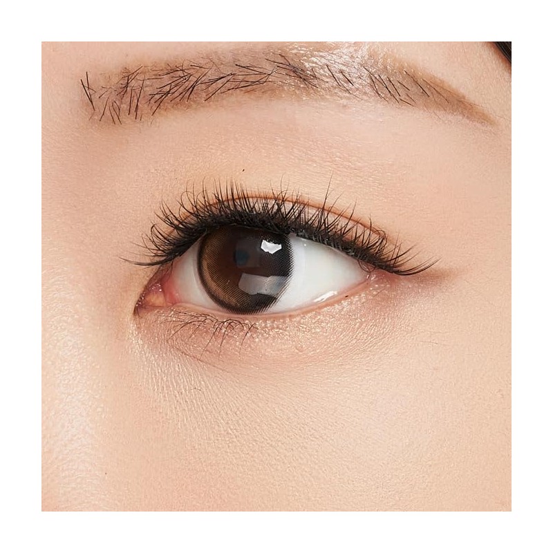 Ollio Whispy, L, Glue-free, Partial False Eyelashes, 5 Bundles, Set