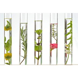 Calendula CO2 Extract, 10 g of Dragonspice Naturwaren 10 g