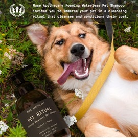 Muse Apothecary Pet Ritual Foaming Waterless Shampoo for Dogs, Waterless Dog Shampoo Foam, No Rinse Dog Shampoo, Waterless Dog Shampoo for Large Dogs - Essential Oils Infused, 11.5oz Lavender Fields