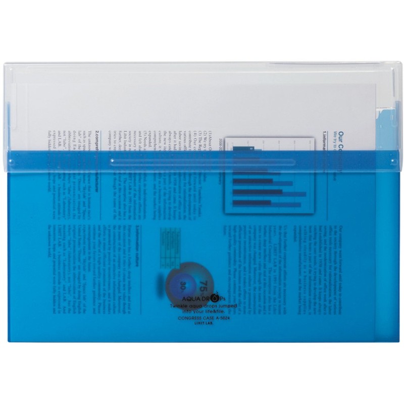 LIHIT LAB Congress Case, pea green