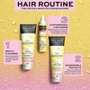 John Frieda Go Blonder Lightening Shampoo for Strengthening and Restoring