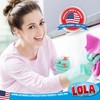 Lola Products Microfiber & Nylon Net Sponges, 2 Included, Dual