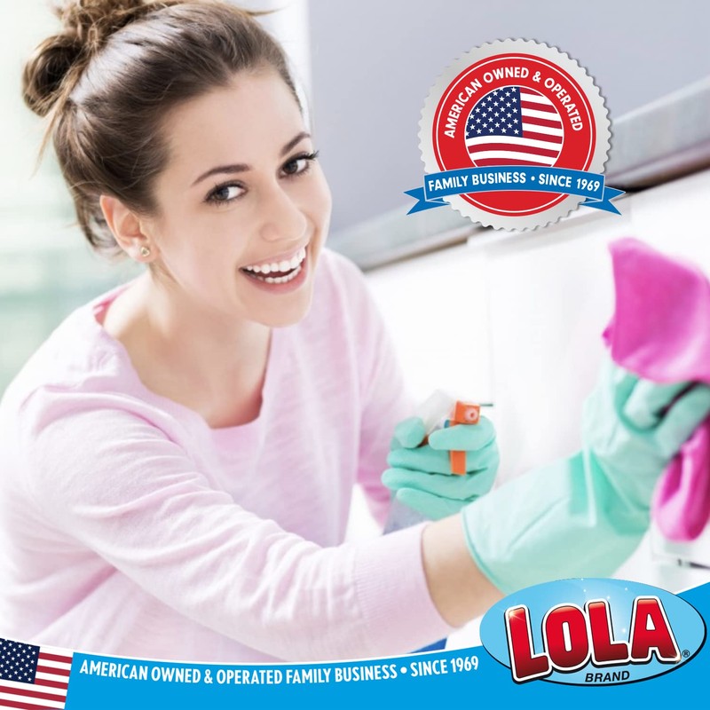 Lola Products Microfiber & Nylon Net Sponges, 2 Included, Dual