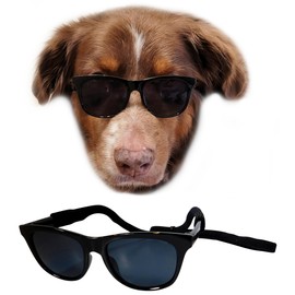 G006 Dog Medium Breeds 20-40 lbs Pet Cat 80s Costume Prop Sunglasses (Black)