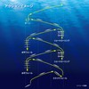 SHIMANO Offshore JV-C40S 014 S Bull Pin Oshia Stinger Butterfly