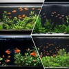 Hygger CO2 Aquarium Background Paper Decor Fish Tank Backdrop Wallpaper