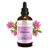 Cistus Incanus Tincture 100 ml | Cistus Incanus Drops (1:4