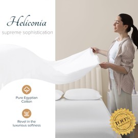 Carressa Linen 100% Egyptian Cotton Sheets - 1500 Thread Count 4 PC Queen Damask Sheet Set Egyptian Cotton, Sateen Luxury Sheets Queen Size, High Thread Count Sheet, 19" Deep Pocket - White Stripe