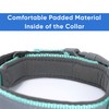 Pawtitas Adjustable Padded Dog Collar a Reflective Puppy Collar -