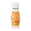 WELEDA Organic Sea Buckthorn Body Lotion - Natural Cosmetics Body Care Lotion with Argan Oil and Sesame Oil Provides Intensive Moisture for up to 48 Hours. Natural Body Lotion for Care of Dry Skin