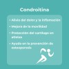 Sqflex Colágeno Hidrolizado Con Glucosamina 2 Botes