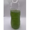 Algaeo Chlorella Vulgaris (Live Algae Culture) 100ml.
