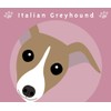 To Italian Grey Hound, Red and White Dog Sticker Pink