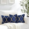 Hanrunsi Velvet Cushion Covers Navy Blue 30 x 50 Decorative
