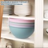 Greentainer 4-Piece Plastic Mixing Bowl Set, 113oz Lightweight Serving Bowls,