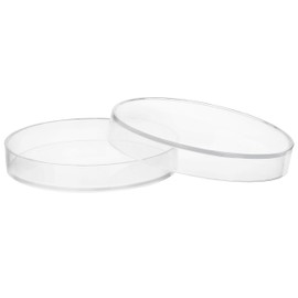 Plastic Petri Dish with Lid - 6" Diameter, 0.75" Depth - Molded in Polypropylene - Reusable, Autoclavable - Translucent - Eisco Labs
