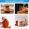 12 Set Maple Syrup Tree Tapping Kit, Plastic Maple Syrup