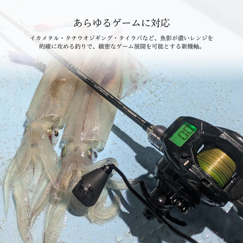 Tailwalk VILAYER DG 100-DH/R
