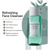 Hzp Tónico Purificador Skin1004 Tea-trica, 210 Ml, 1 Unidad
