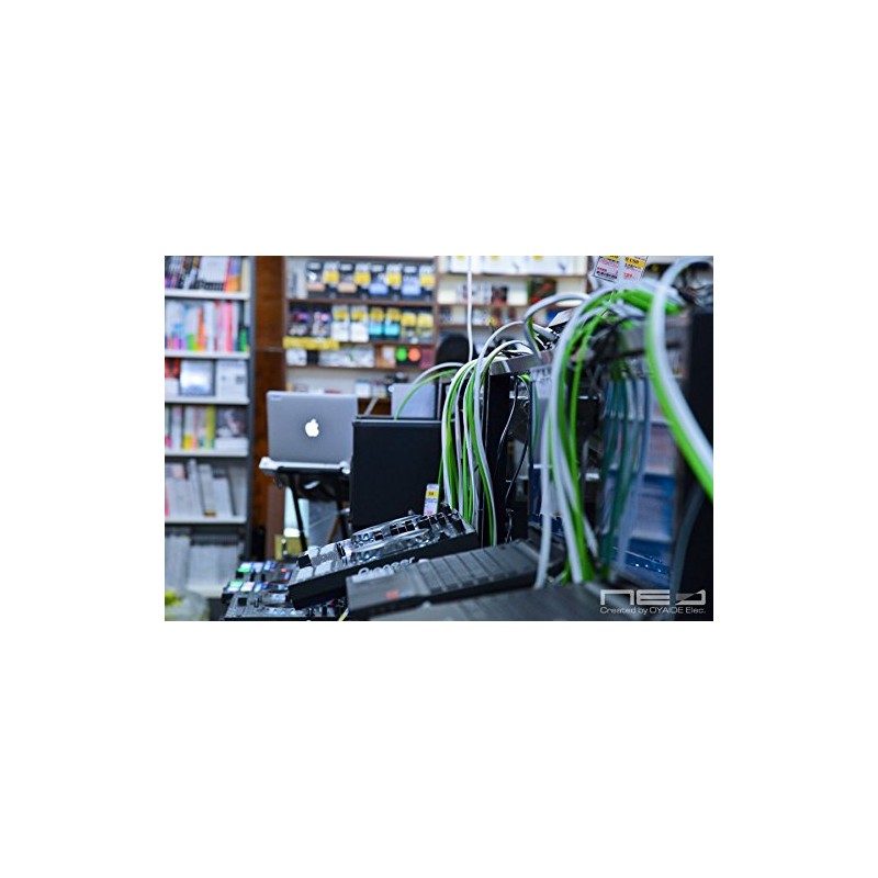 Neo by Oyaide d+ XLR (Class B) – and Durable