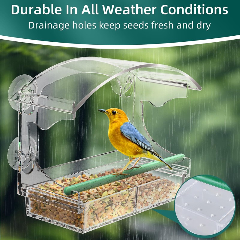 Window Bird Feeder with 4 Strong Suction Cups, Clear Window