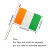 TSMD Ivory Coast Stick Flag Ivorian Small Mini Hand Held