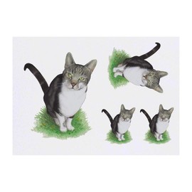 4 x 'Tabby Cat' Temporary Tattoos - Water Resistant, Skin-Safe, Non-Toxic Transfers, Mixed Sizes (TO00033289)