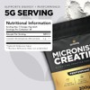 Micronised Creatine Monohydrate Powder | 2 Month Supply, 300g, 60