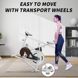 Stationary Bikes,Exercise Bikes,Adjustable Professional Exercise Bikes for Home, Efficient Workout Bike with Smartphone Mount & Digital Pulse Display