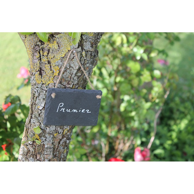 The cordeline Set of 3 Slate Labels 0.5 x 7
