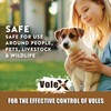 VoleX - Effective Against All Species of Voles. Safe for