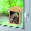 Home and Co Observoiseaux Bird House for Windows, Clear Tinted