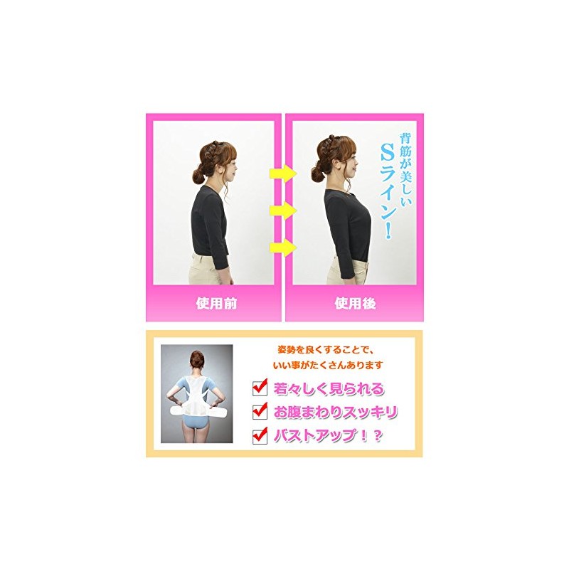 Access Pelvic Back Muscle S Line Belt M - L