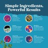 Natures Craft Potent Neural Health Capsules for Adults - Herbal