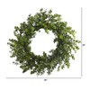 Nearly Natural 24in. Eucalyptus Artificial Wreath