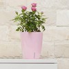 Santino 4.9 Inch ORCHIDEA Self Watering Pots for Orchids in