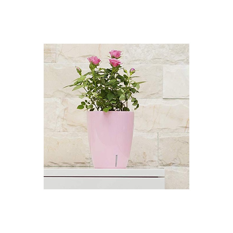 Santino 4.9 Inch ORCHIDEA Self Watering Pots for Orchids in