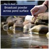 WinterKleen Fall & Winter Bacteria for Ponds | Koi Pond