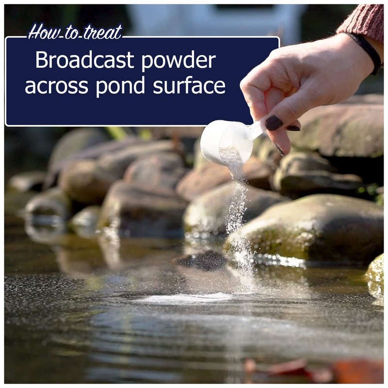WinterKleen Fall & Winter Bacteria for Ponds | Koi Pond