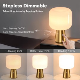 Ruhaieba Cordless LED Table Lamp, Desk Lamp for Home Office with Battery Operated, Stepless Dimming Antique Light for Study Library, White Glass Shade, Brass